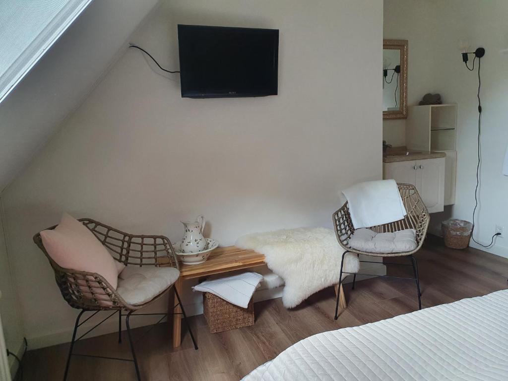 TV a/nebo společenská místnost v ubytování B&B Piebengastate Welsrijp