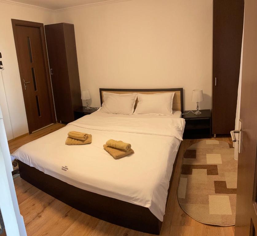 Postel nebo postele na pokoji v ubytování Vila Panoramic Pestera
