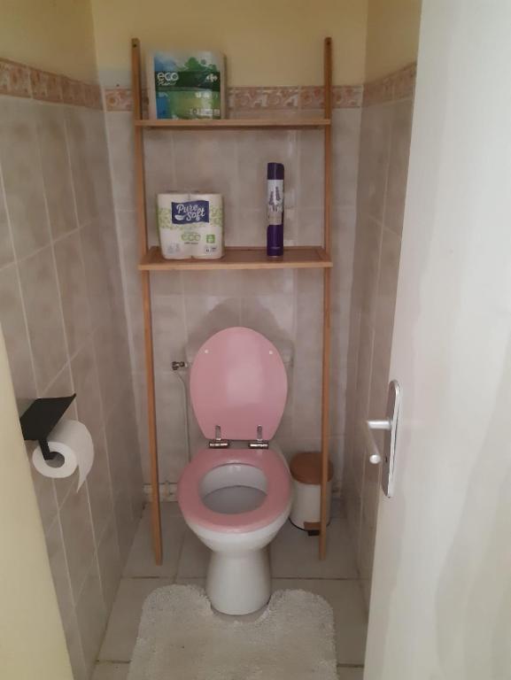 a small bathroom with a pink toilet with shelves at Maison Marilene in Ajat