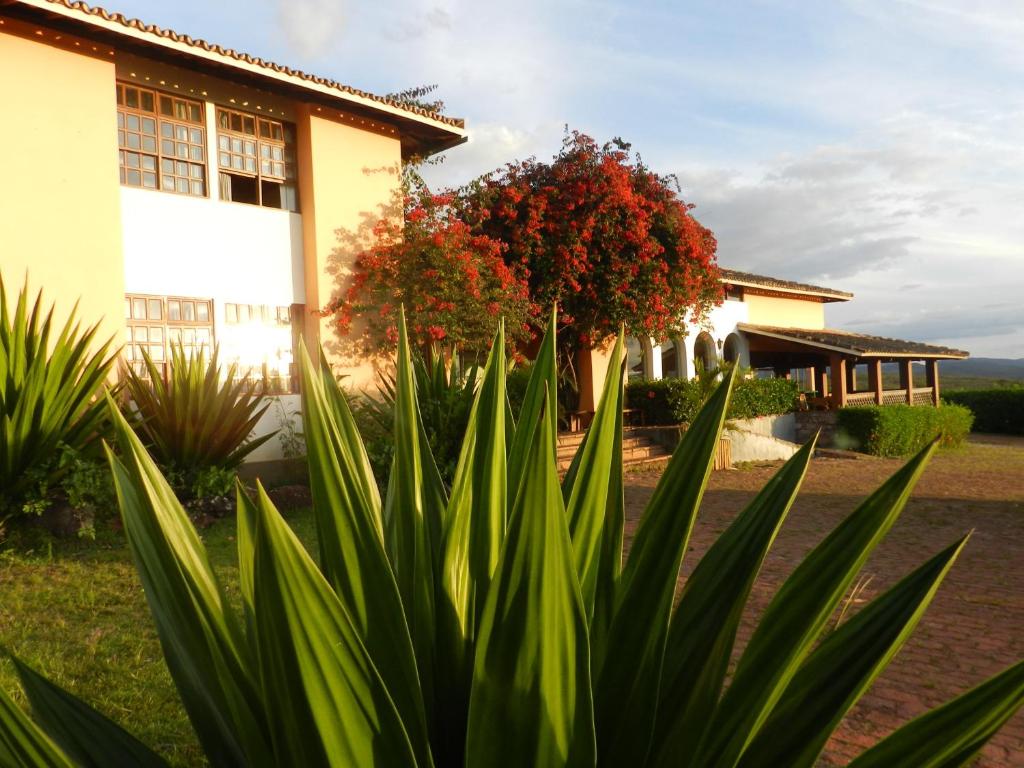 Um jardim em Casarão Alpina