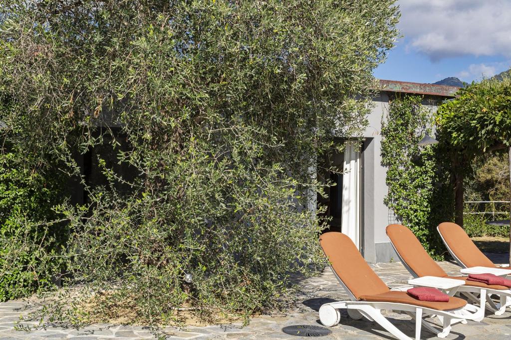Kép Villa San Massimo by Wonderful Italy - NU szállásáról Rapallóban a galériában