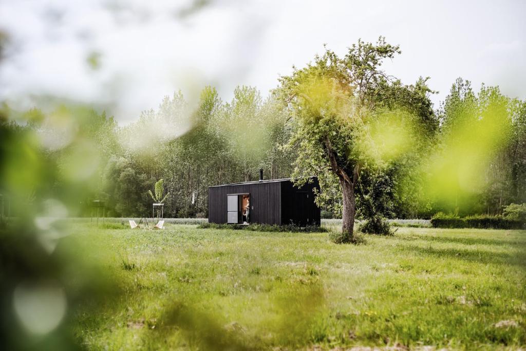 a small black shed in a field with a tree at Slow Cabin - Sint-Truiden in Sint-Truiden