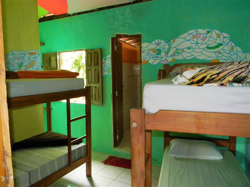 Cette chambre comprend 2 lits superposés et un mur vert. dans l'établissement Jahostel, à Lençóis