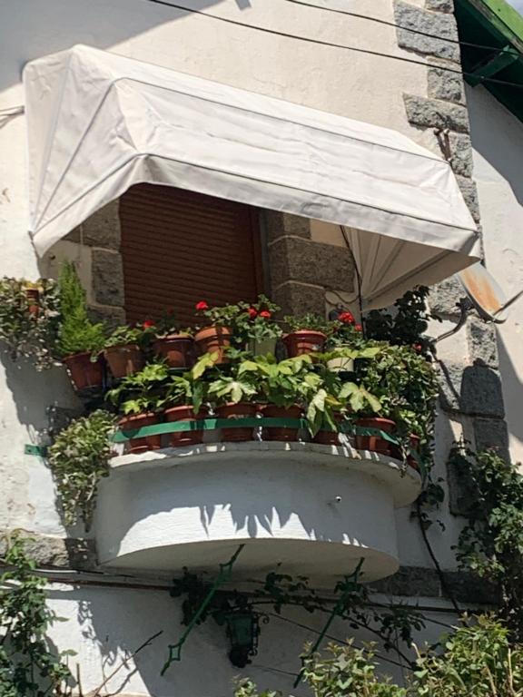 Un balcón o terraza de El balcón de Araceli