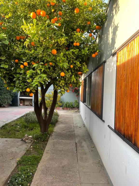 Fotografie z fotogalerie ubytování CASA NUEVA v destinaci San Rafael