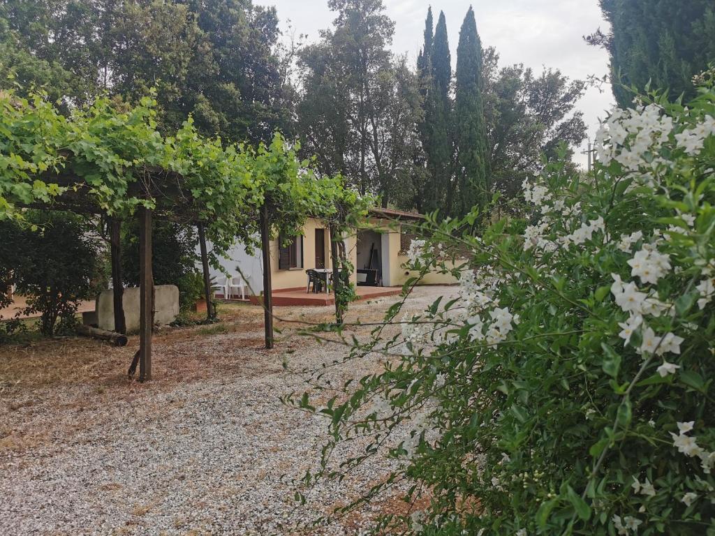 une maison au milieu d'un jardin avec des fleurs blanches dans l'établissement Appartamento bilocale sulla Via Francigena a Campagnano di Roma, à Campagnano di Roma