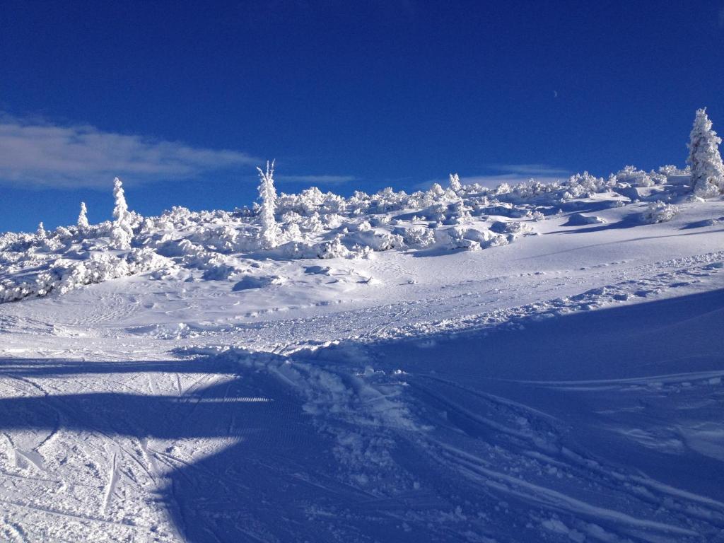 Pension Anni during the winter