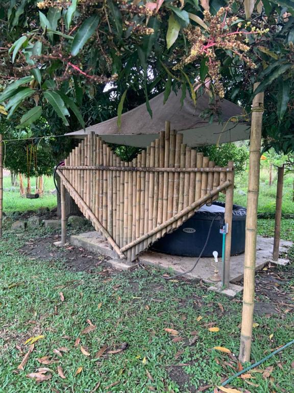 Κήπος έξω από το Ginebra Glamping