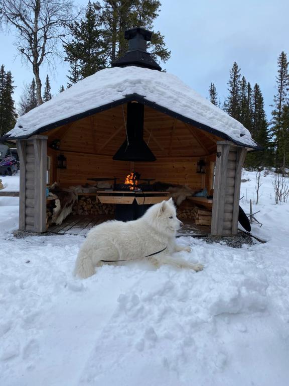 Ottsjö-Åre Lodge v zimě
