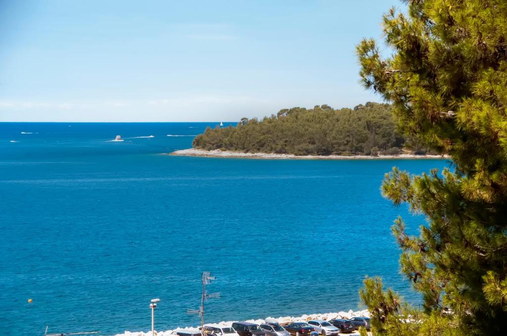 a view of a beach with a group of cars at Nonna Marija 1 in Rovinj