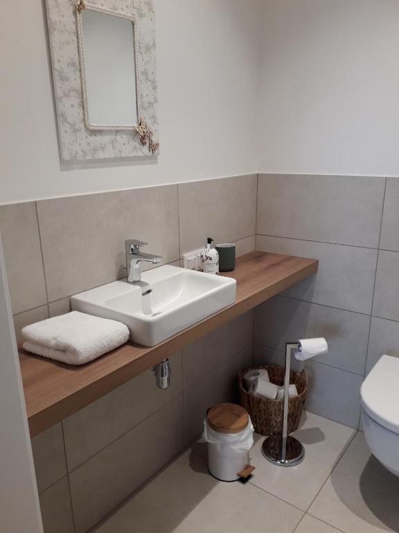 Vannituba majutusasutuses Apartment Augenweide
