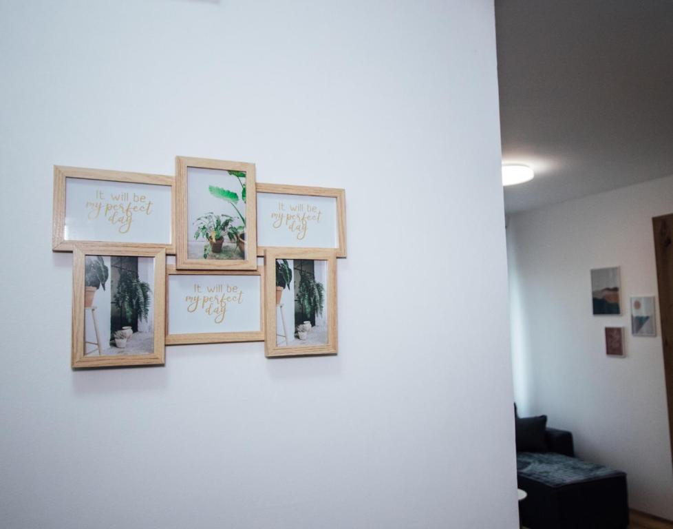 Fotografie z fotogalerie ubytování Apartman Vas dom v destinaci Kraljevo
