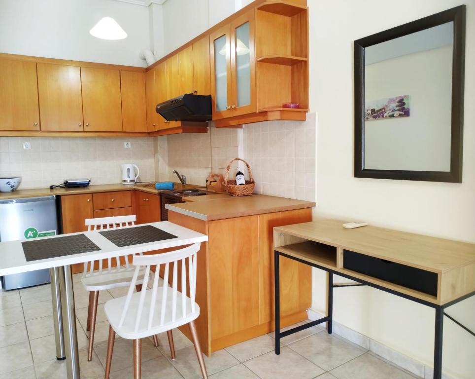 A kitchen or kitchenette at OSCAR STUDIO KALAMATA city centre