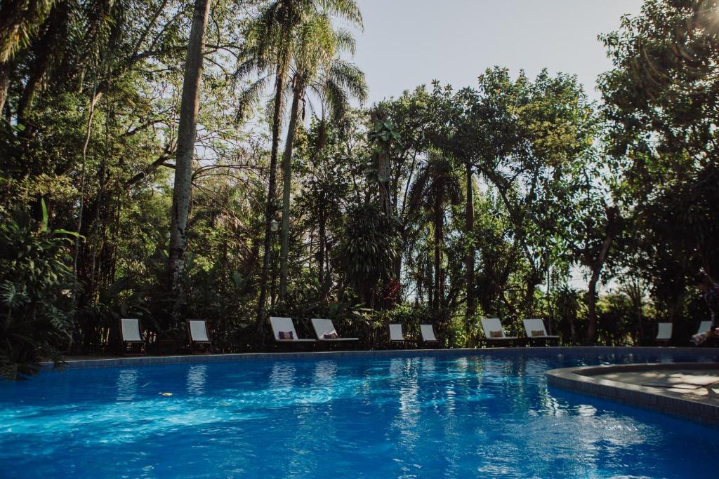 a swimming pool with chairs and palm trees at Overo Lodge & Selva in Puerto Iguazú