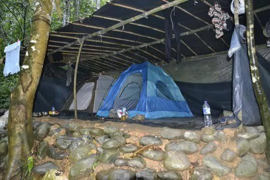 ein blaues Zelt und ein paar Felsen und ein Baum in der Unterkunft Bukit Lawang Glamping & Jungle Trekking in Bukit Lawang