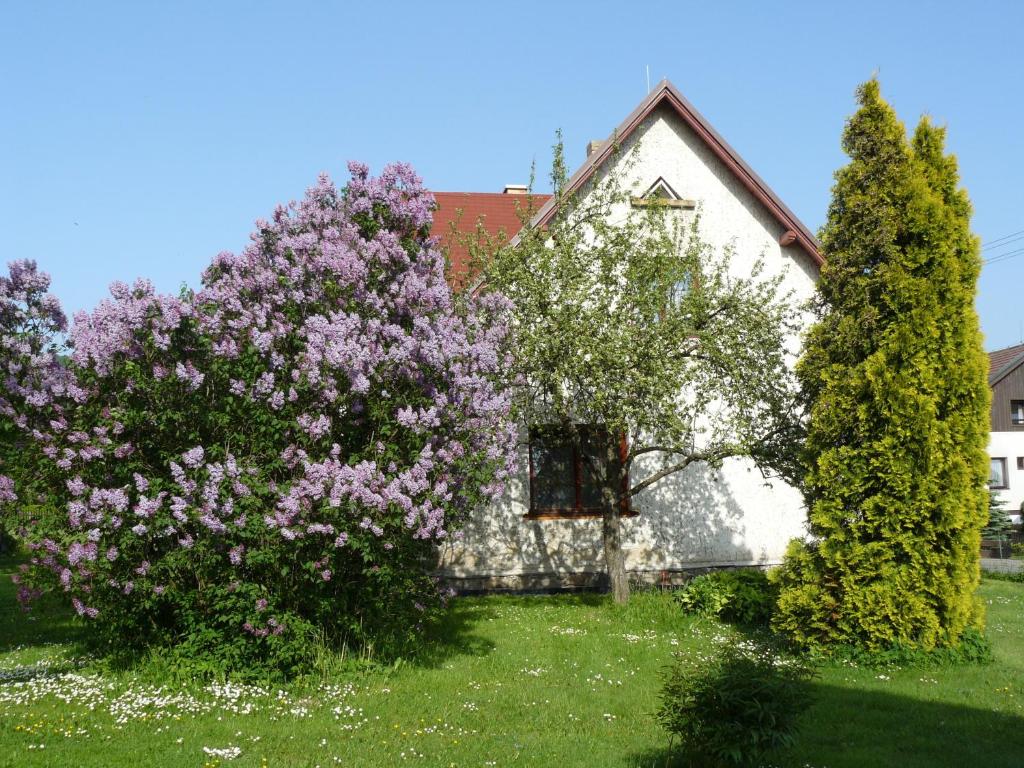 Zahrada ubytování Apartmány Sněženka