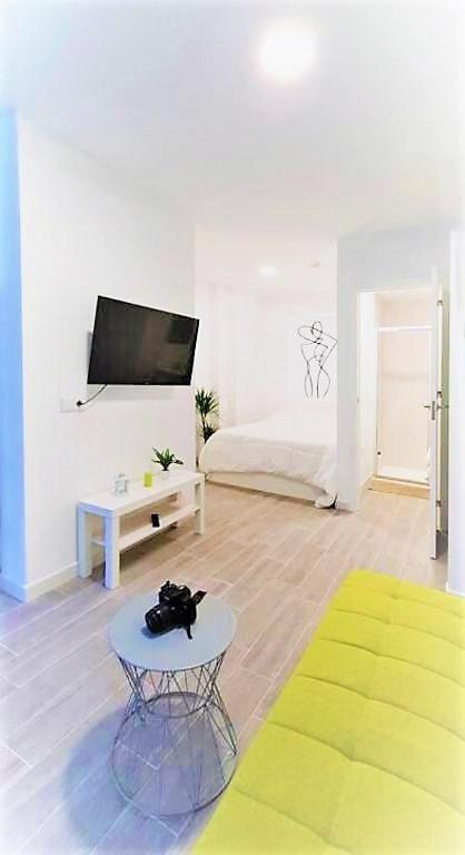 TV a/nebo společenská místnost v ubytování Apartamento en el absoluto centro 2B