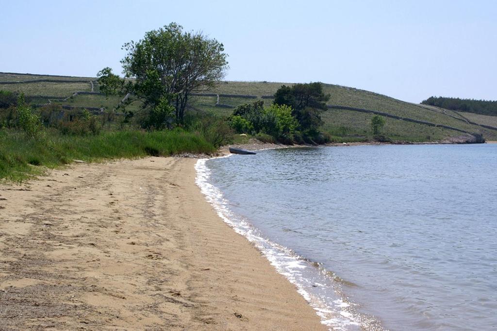 Przyroda w pobliżu tego apartamentu
