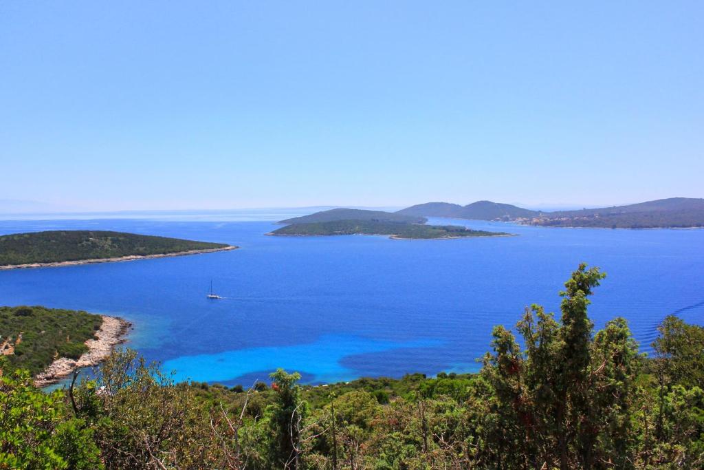 Fotografie z fotogalerie ubytování Apartments by the sea Ilovik, Losinj - 12275 v destinaci Ilovik