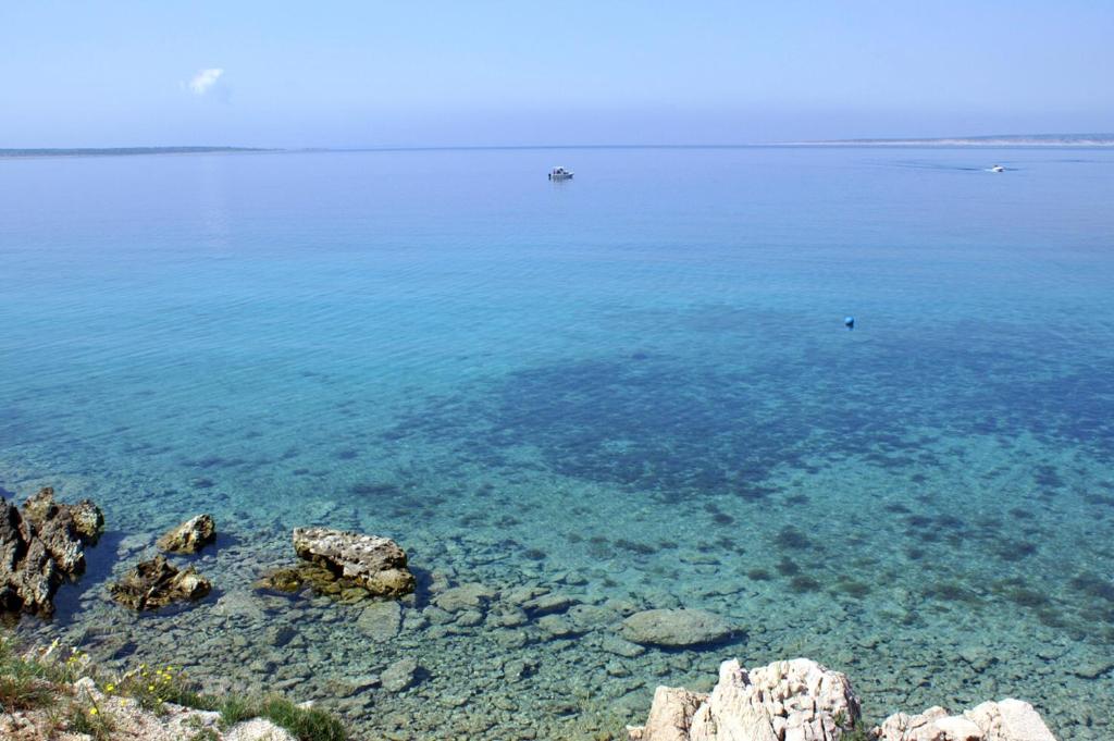 Zdjęcie z galerii obiektu Apartments by the sea Mandre, Pag - 14918 w mieście Mandre