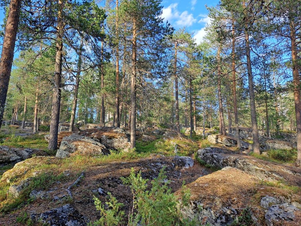 Příroda nedaleko ubytování v soukromí