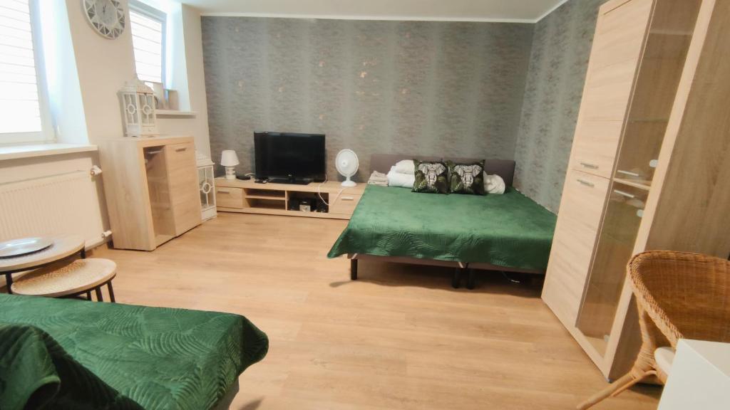 a living room with a green couch and a tv at Apartamet 45 in Płock