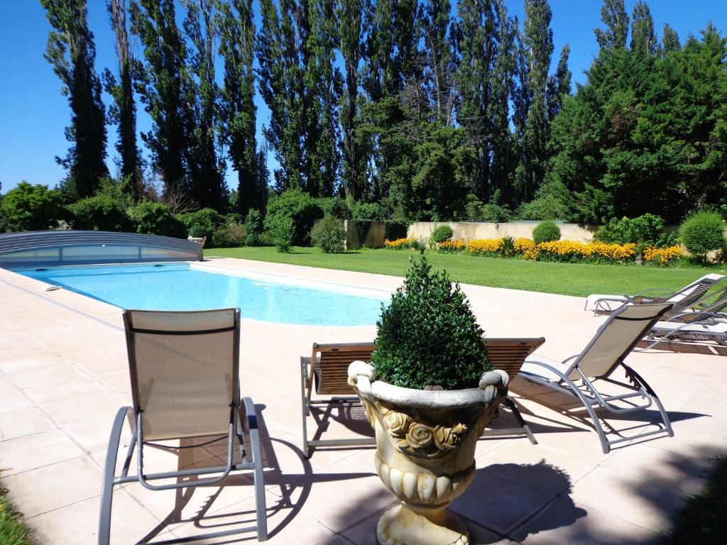 a group of chairs and a potted plant next to a pool at Domaine Les Rivales in Cavaillon
