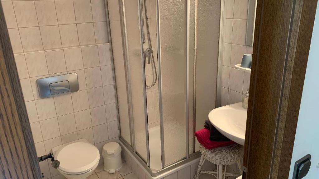 Koupelna v ubytování Hotel Almenrausch