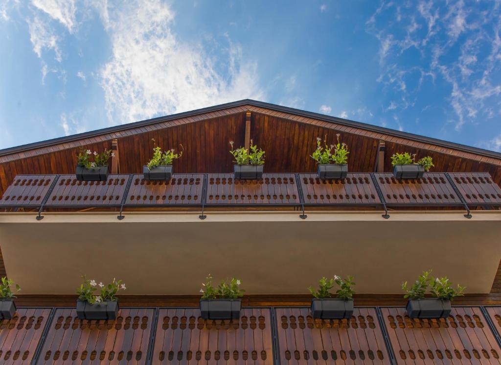 a balcony with potted plants on a building at Hotel Dolomiti in Castelmezzano