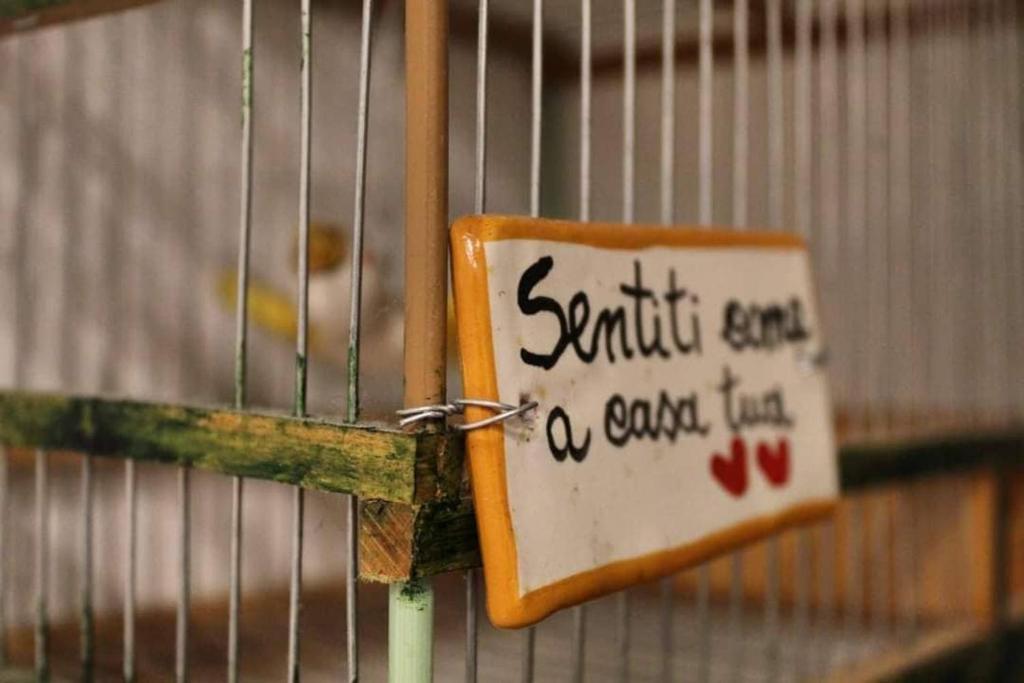 Il Piccolo Sogno, Salerno (precios actualizados 2024)