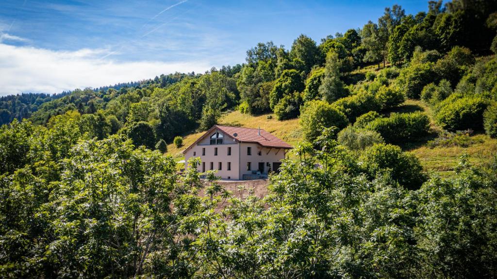 拉布雷斯的住宿－Le 11 des Bouchaux, Gîte d'exception，树上山顶的房子