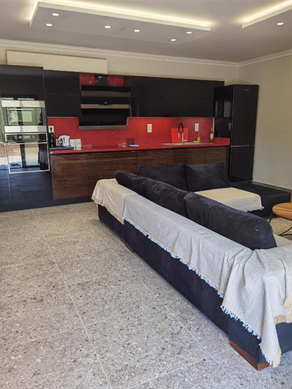 a large room with two beds and a kitchen at Red in Vlikhón