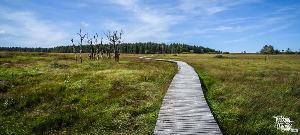 Příroda nedaleko apartmánu