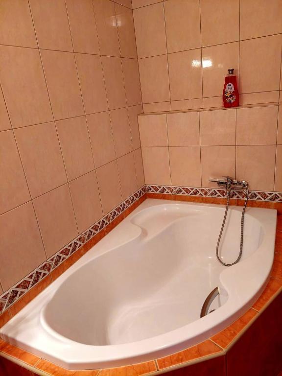 Koupelna v ubytování Hotel Olga