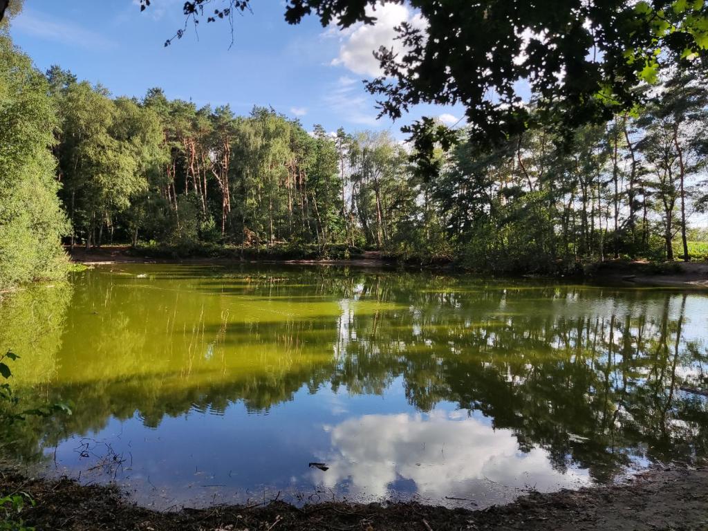 Příroda nedaleko apartmánu