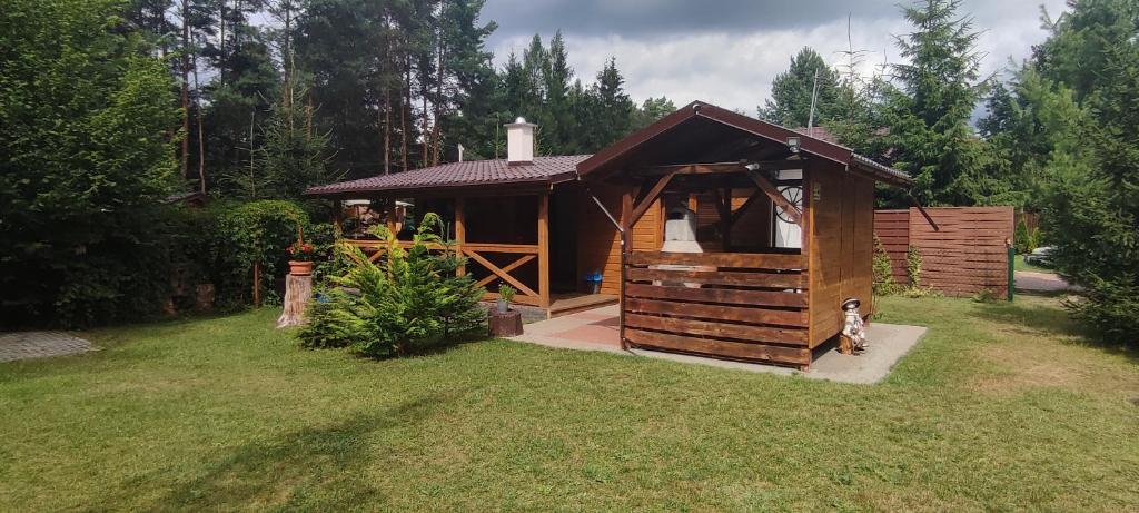 a small cabin in the grass with a dog in front at Domek Letniskowy Mazurska Chatka in Stare Jabłonki