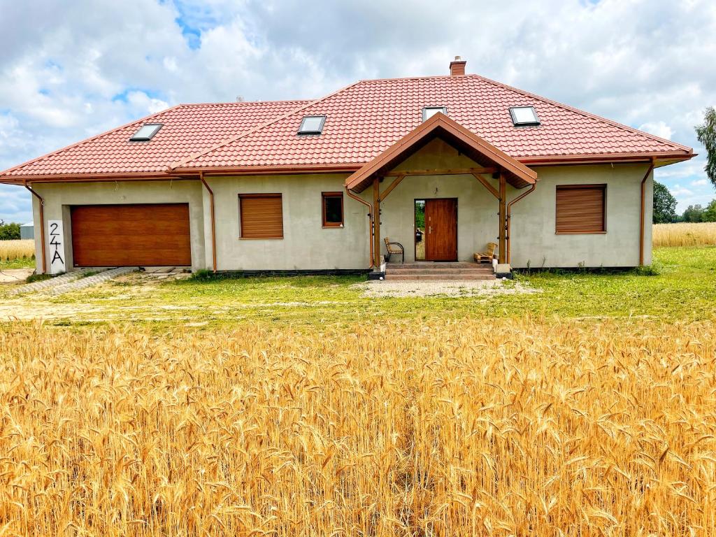 uma casa com um campo de trigo à sua frente em Farma IT em Jamielnik