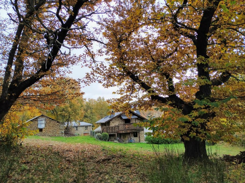 een oud huis midden in een veld met bomen bij La Era De Sanabria in Villarino de Sanabria