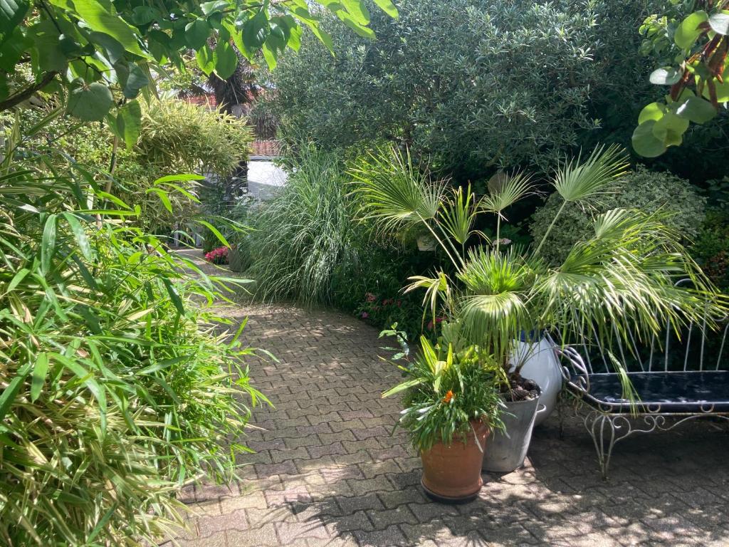 Zahrada ubytování Maisonnette studio Arcachon 300m plage