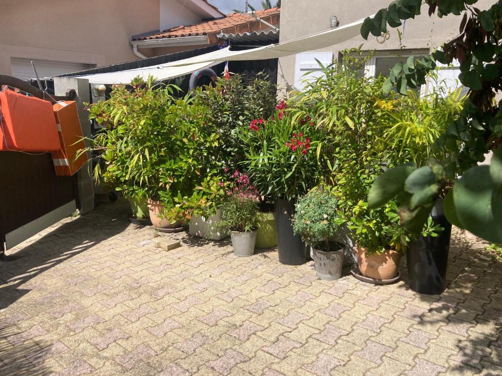Zahrada ubytování Maisonnette studio Arcachon 300m plage