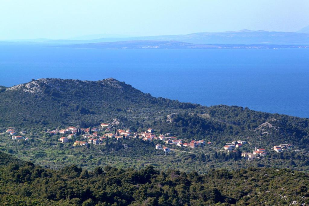 Príroda v okolí apartmánu