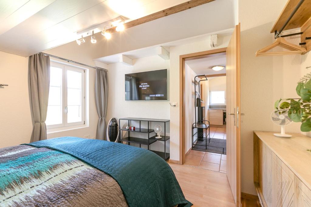 TV a/nebo společenská místnost v ubytování Spirit Apartments - Balkon mit Seesicht - Parkplatz