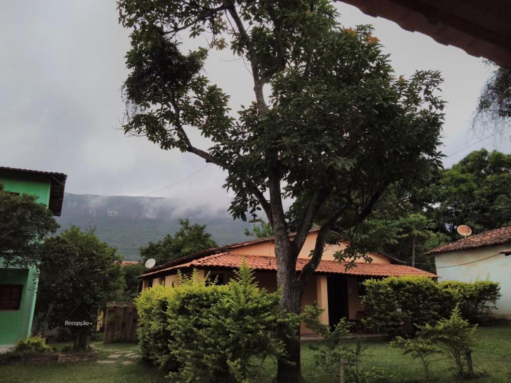 une maison avec un arbre en face dans l'établissement Pousada Abacateiro, à Vale do Capão