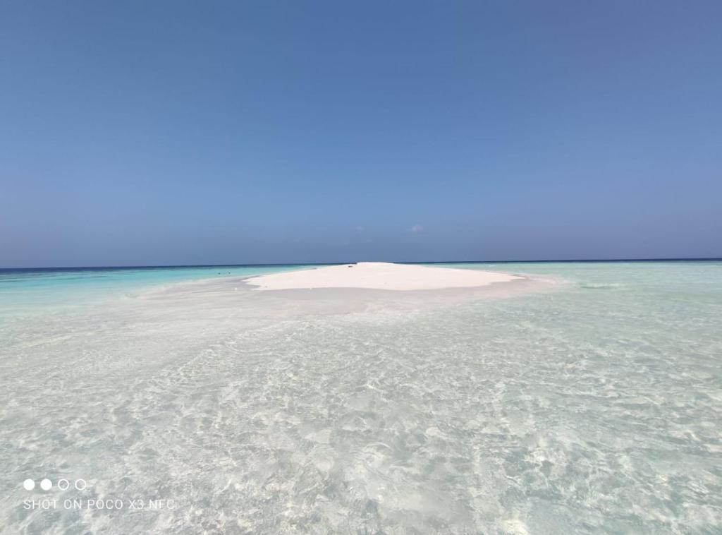 Island Life Maldives Retreat & Spa photo