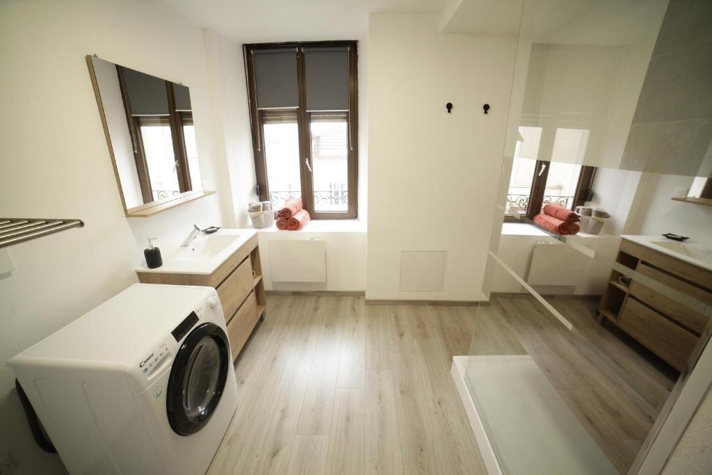 a bathroom with a washing machine and a sink at Grand Appartement 2 chambres avec Fibre et Netflix in Belfort