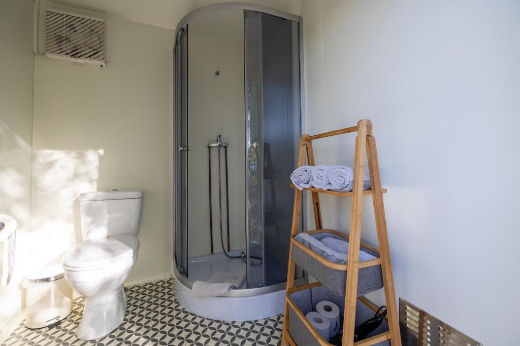a bathroom with a shower and a toilet and a ladder at Jägerwagen - Im Herzen des Unterallgäus in Erkheim