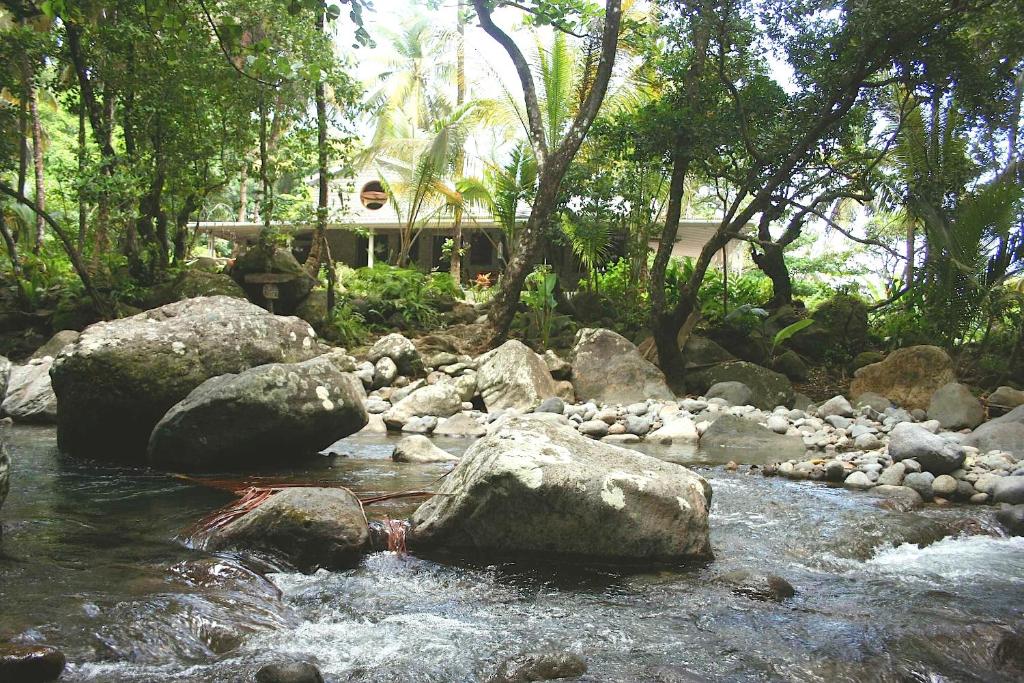 a stream of water with rocks and trees at Citrus Creek Plantation in La Plaine