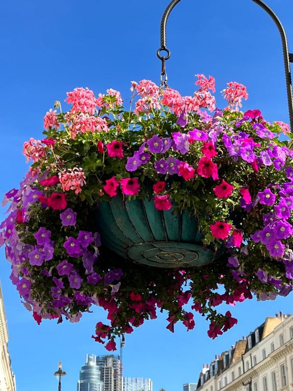 Melbourne House Hotel - Resim 18