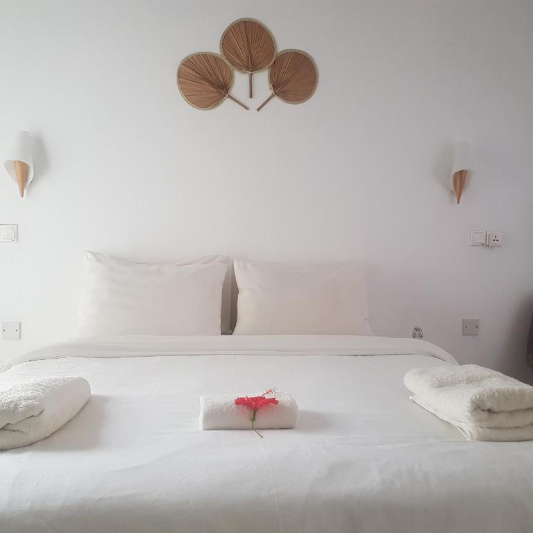 Vaali Maldives Island Escapes & Dive - отзывы и видео