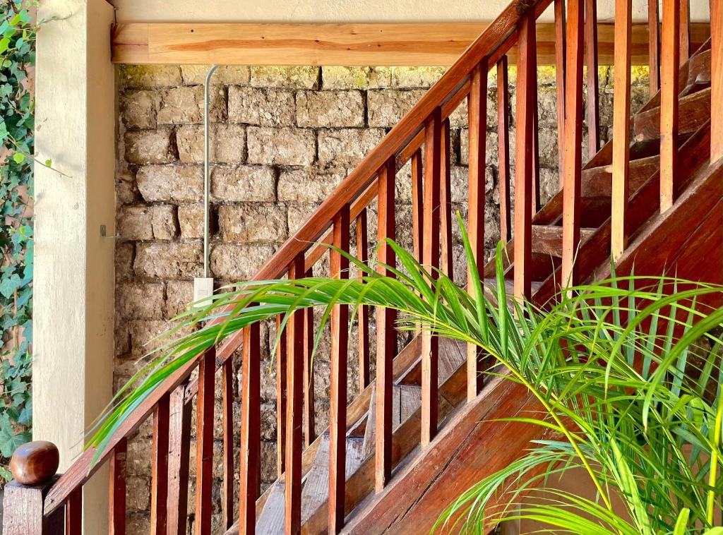 a wooden staircase with a plant in front of a stone wall at Hotel Casa Azabache in San Cristóbal de Las Casas